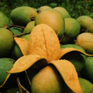 ৩০ কেজি মিষ্টি হিমসাগর আম